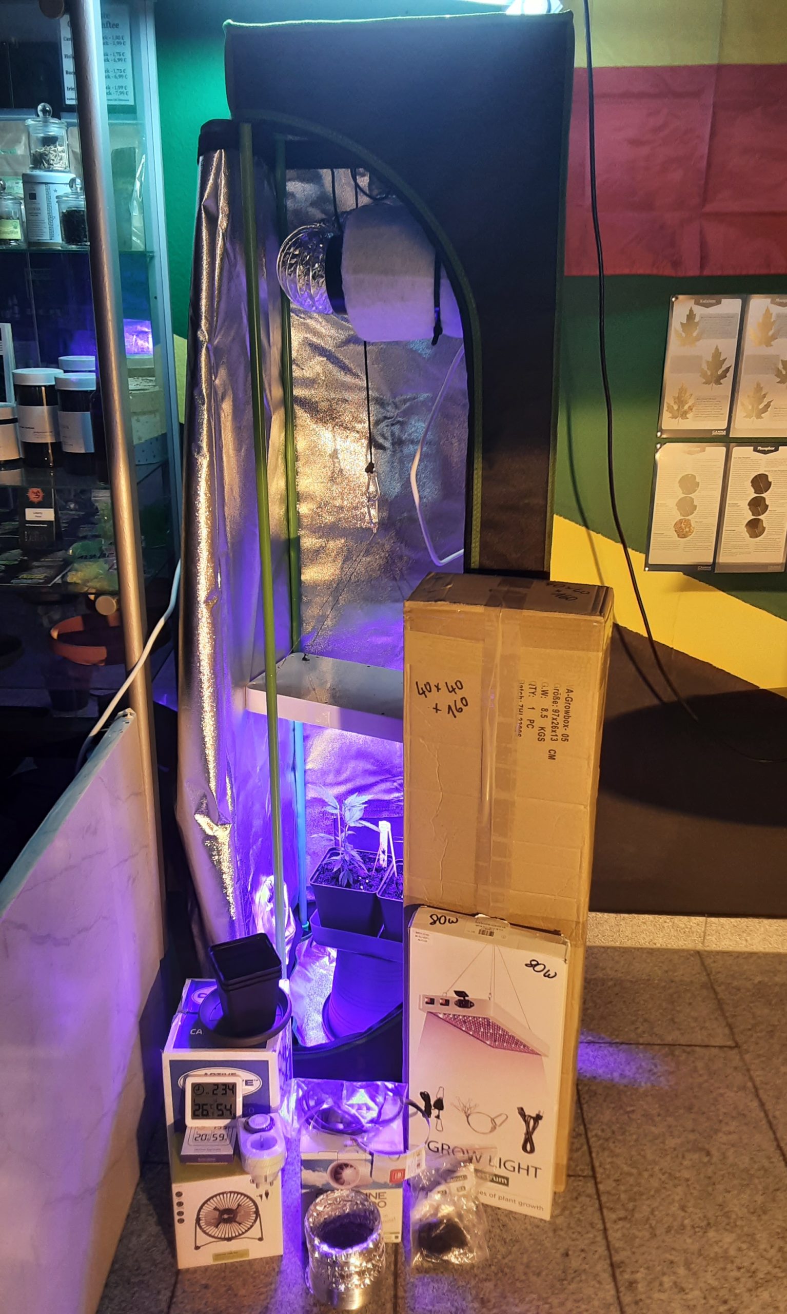 Growzelt Growbox-Set „Culting 80W + AKF“ für Cannabis Anzucht