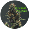 Skywalker Automatic Samen